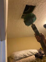 Roma’s carpet cleaning