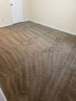 Roma’s carpet cleaning