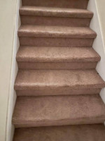 Roma’s carpet cleaning