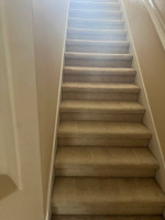 Roma’s carpet cleaning