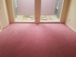 Carpet Cleaning et al professionally, thoroughly done