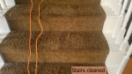 Carpet Cleaning et al professionally, thoroughly done