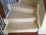 Carpet Cleaning 3 Rooms @ Pet Stain Removal