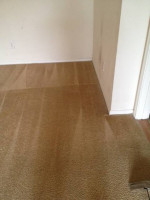 Carpet Cleaning 3 Rooms @ Pet Stain Removal