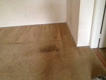 Carpet Cleaning 3 Rooms @ Pet Stain Removal