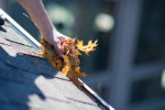 Gutter Cleaning - window washing - fully insured