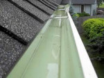 Gutter Cleaning - window washing - fully insured
