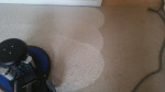 🌟SHAMPOO&EXTRACTION PROCESS*SUPERIOR RESULTS*NO STEAM*Carpet Cleaning