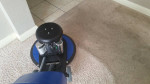 🌟SHAMPOO&EXTRACTION PROCESS*SUPERIOR RESULTS*NO STEAM*Carpet Cleaning