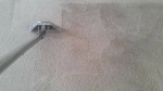 🌟SHAMPOO&EXTRACTION PROCESS*SUPERIOR RESULTS*NO STEAM*Carpet Cleaning