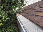 ✨️$100.GUTTER,GUTTERS ✨️CLEANING-GUTTER REPAIR-NEW GUTTERS✨️$150