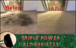 carpet cleaning , tile cleaning , mattress cleaning , upholstery clean