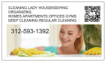 AFFORDABLE HOUSE CLEANING LADY ORGANIZING SANITIZING LAUNDRY FOLDING C