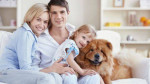 Carpet Cleaning