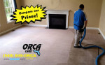 COUPONS! π¨π¨π¨π¨π¨π¨π¨π¨π¨π¨π¦ ORCA Care CARPET CLEANING