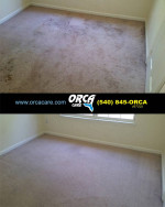 COUPONS! π¨π¨π¨π¨π¨π¨π¨π¨π¨π¨π¦ ORCA Care CARPET CLEANING