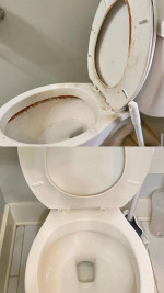 housekeeper / cleaning services