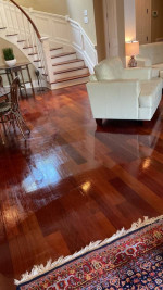 housekeeper / cleaning services