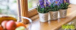House Cleaning, Home Cleaning, Office Cleaning, Maid Services