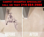 SAME DAY MOVE IN-OUT CLEANING JUNK REMOVAL CARPET SHAMPOO PAINTING