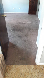 CARPET CLEANING 3 Rooms & hall 99.00 Call 210-913-8216 until 10 Pm!