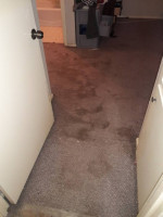 CARPET CLEANING 3 Rooms & hall 99.00 Call 210-913-8216 until 10 Pm!
