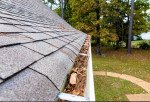 Roof Repairs, Fence Repairs,Gutter Installing or cleaning