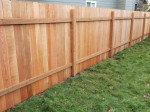 Roof Repairs, Fence Repairs,Gutter Installing or cleaning