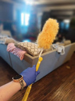 House Cleaning
