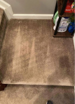 π King of Clean DC: Your Deep Cleaning Specialist π