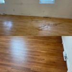 !!Cleopatra's Cleaning; Residential and Commercial!!