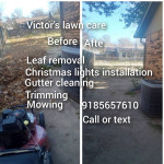 leaf removal 🌿 gutters cleaning. call or txt Monday to Sunday 😉