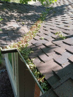 Roof / Gutter Cleaning and Repair------303.720.5696