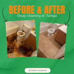 🟡 House Cleaning | Deep Cleaning | Move In out | ☎️ (656) 200-3518 🟢