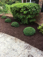 Lawn care/landscaping/gutter cleaning/mulch