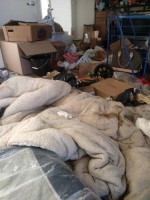 CLUTTER CLEANUP!! GRIME AND FILTH CLEANING!! HOARDING CLEANUP