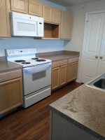 Cleaning services, for houses apartments condos