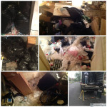CLUTTER CLEANUP!! GRIME AND FILTH CLEANING!! HOARDING CLEANUP