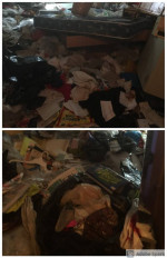 CLUTTER CLEANUP!! GRIME AND FILTH CLEANING!! HOARDING CLEANUP