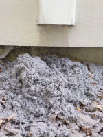 Expert Air Duct Cleaning and Dryer Vent Cleaning Services