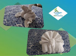 MELO CLEANING REGULAR,DEEP,MOVE IN/OUT,POS-CONSTRUCTION BIG SERVICE 🏠