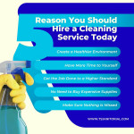 Your trusted cleaning partner:Tns janitorial
