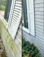 Gutter Cleaning, Pressure washing & more
