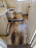Commercial cleaning,debris removal,trash haul,unit prep,pest control.