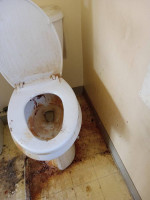 Commercial cleaning,debris removal,trash haul,unit prep,pest control.