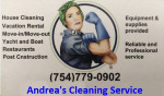 PROFESSIONAL HOUSE CLEANING SERVICE