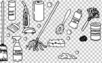 lisa's cleaning service same day service