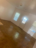 lisa's cleaning service same day service
