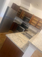 lisa's cleaning service same day service