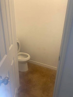 lisa's cleaning service same day service